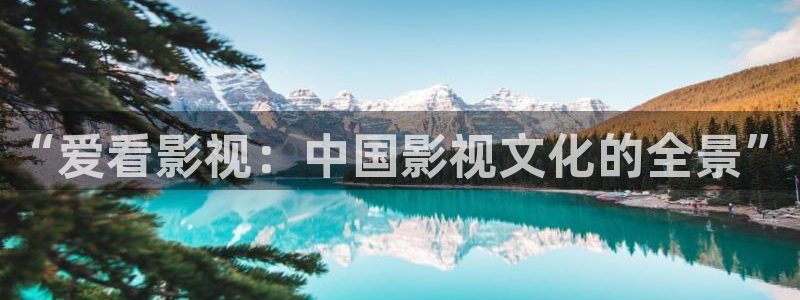 韩国影视剧：“爱看影视：中国影视文化的全景”