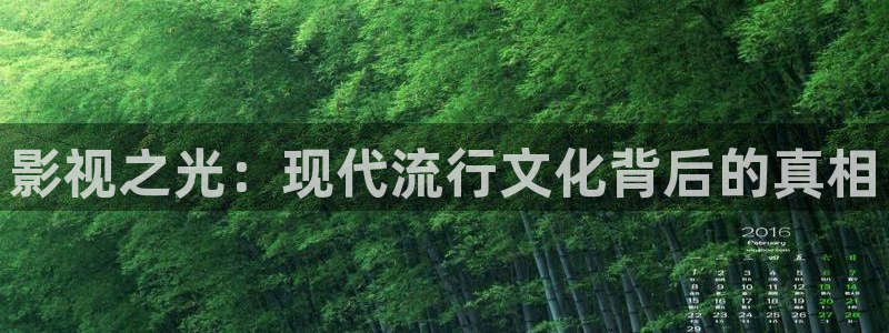 韩国影视剧：影视之光：现代流行文化背后的真相