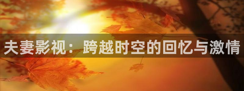 韩国影视大全：夫妻影视：跨越时空的回忆与激情